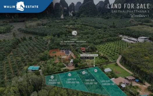 Land Sai Thai 3-1-52