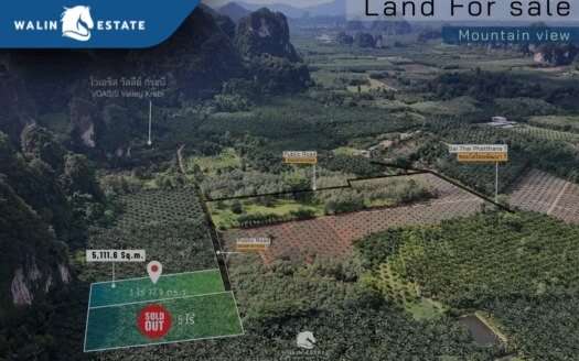 Land Sai Thai 3-0-77.9