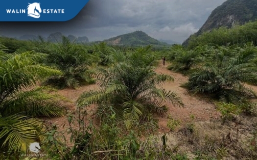 Land Nong Thale 5-2-27.6