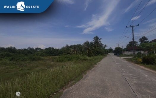 Land Nuea Khlong 2-3-66