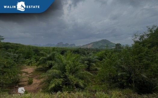 Land Nong Thale 5-2-27.6