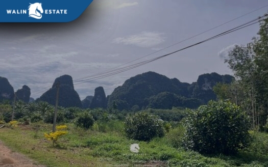 Land Sai Thai 3-1-52