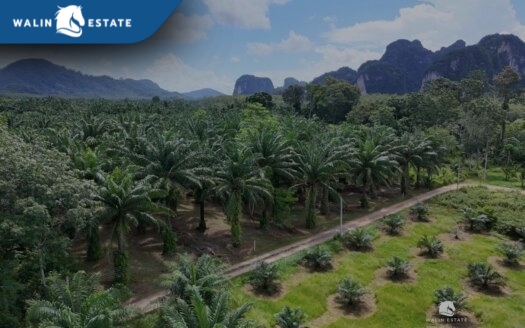Land Ao Nang 8-0-0