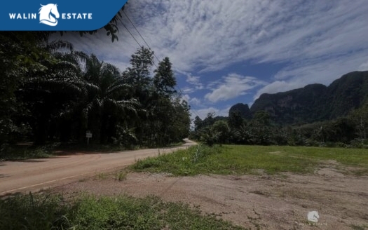 Land Nong Thale 8-1-12