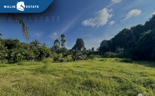 Land Sai Thai 4-3-89