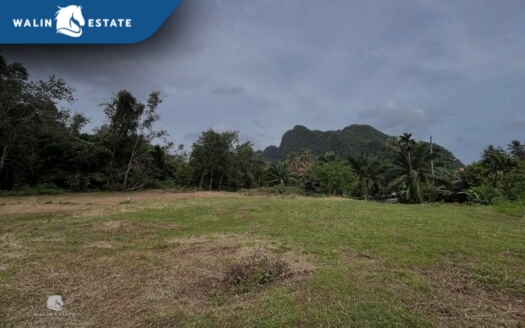 Land Khao 2-3-68.2