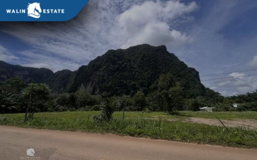 Land Nong Thale 8-1-12