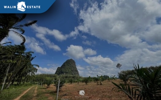 Land Nong Thale 5-2-75