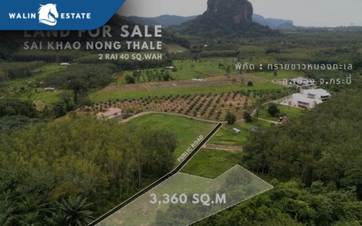 Land Nong Thale 2-0-20