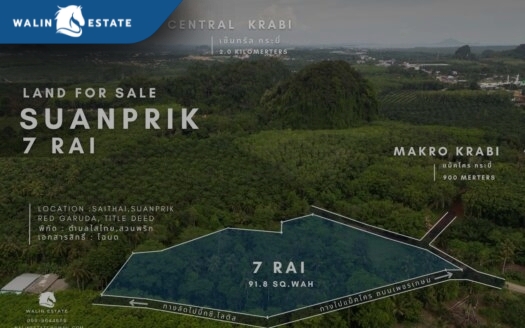 Land Thap Prik 7-0-91.8