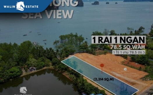 Land Khao Thong 1-1-78.5