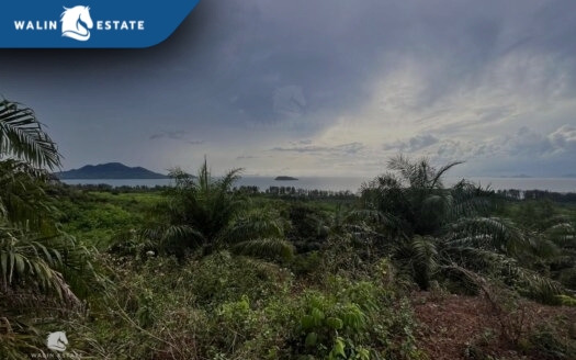 Land Koh Siboya 30-1-94