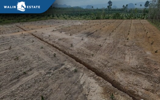 Land Khao Khram 12-1-43