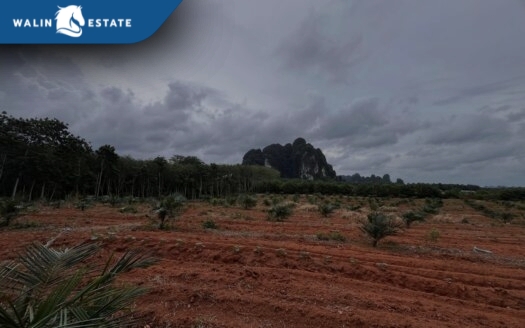 Land Khao Khram 18-1-20