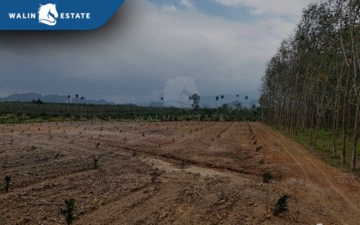 Land Khao Khram 12-1-43