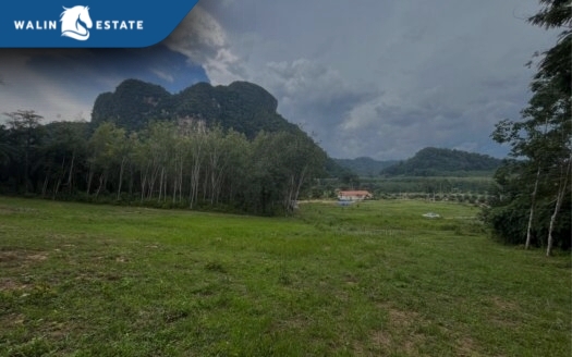 Land Nong Thale 2-0-20