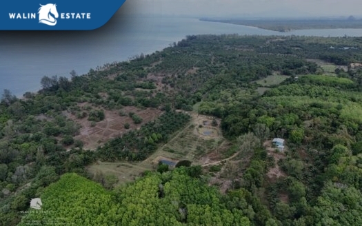 Land Koh Siboya 25-2-79