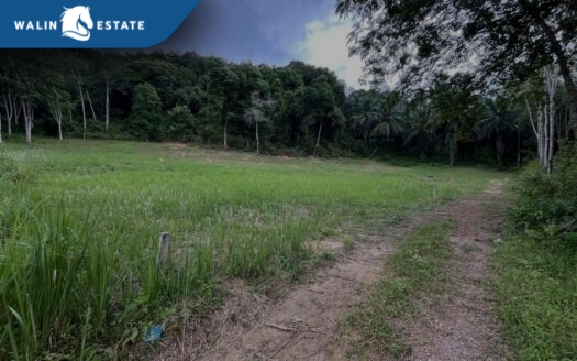 Land Nong Thale 2-0-20