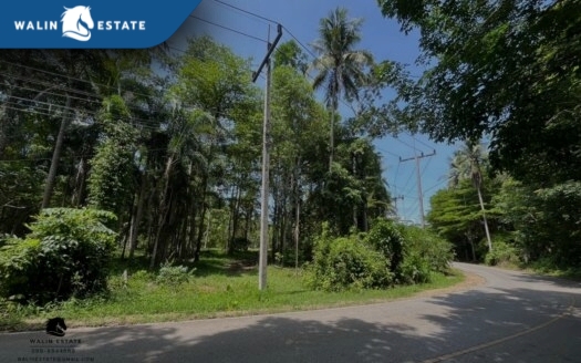 Land Thap Prik 7-0-91.8