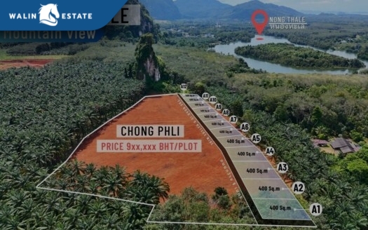 Land Nong Thale 12 Plots