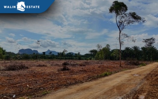 Land Nong Thale 8-0-0