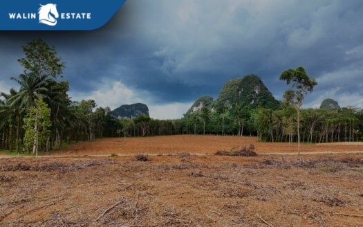 Land Nong Thale 8-0-0