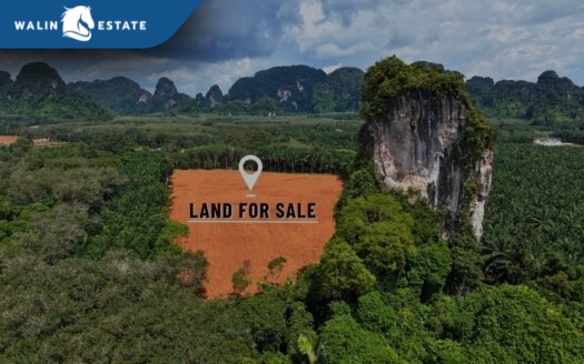 Land Nong Thale 12 Plots