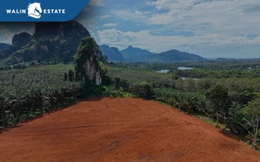 Land Nong Thale 12 Plots