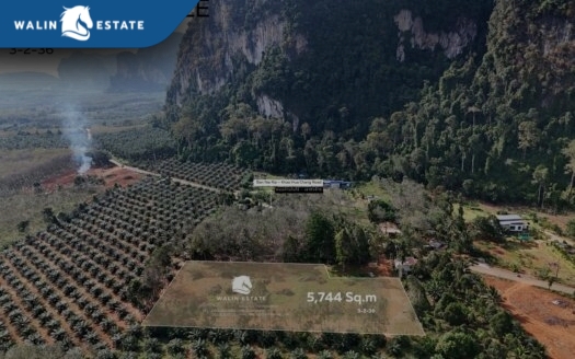 Land Nong Thale 3-2-36