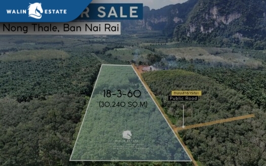 Land Nong Thale 18-3-60