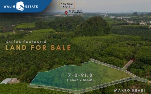 Land Thap Prik 7-0-91.8