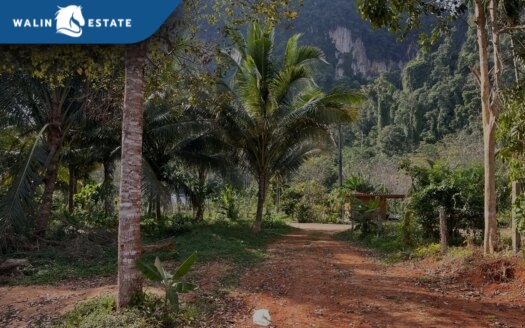 Land Nong Thale 3-2-36