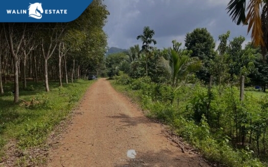 Land Nong Thale 18-3-60