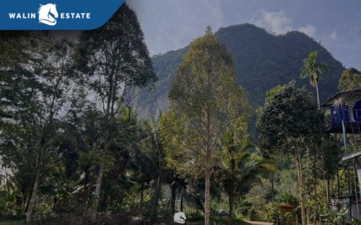 Land Nong Thale 3-2-36