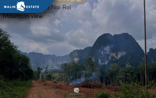 Land Nong Thale 18-3-60