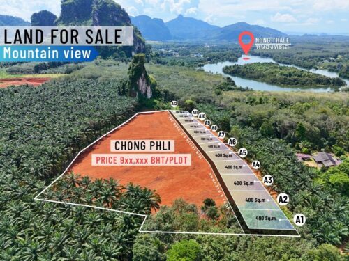 Land Nong Thale 12 Plots