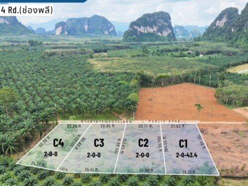 Land Nong Thale 8-0-0