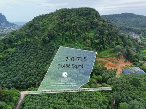 Land Ao Nang 7-0-71.5