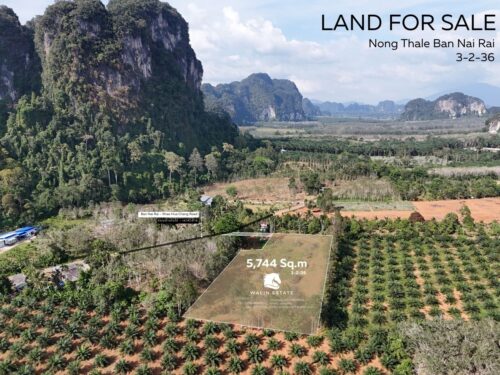 Land Nong Thale 3-2-36