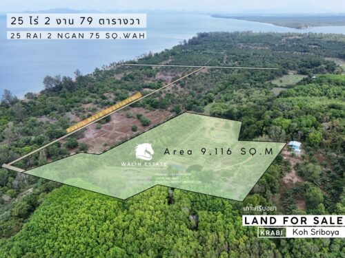 Land Koh Siboya 25-2-79