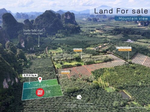 Land Sai Thai 3-0-77.9