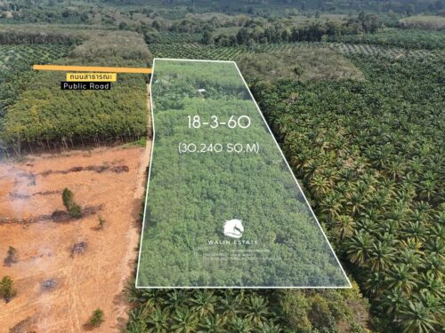 Land Nong Thale 18-3-60