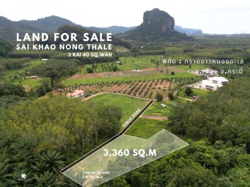 Land Nong Thale 2-0-20